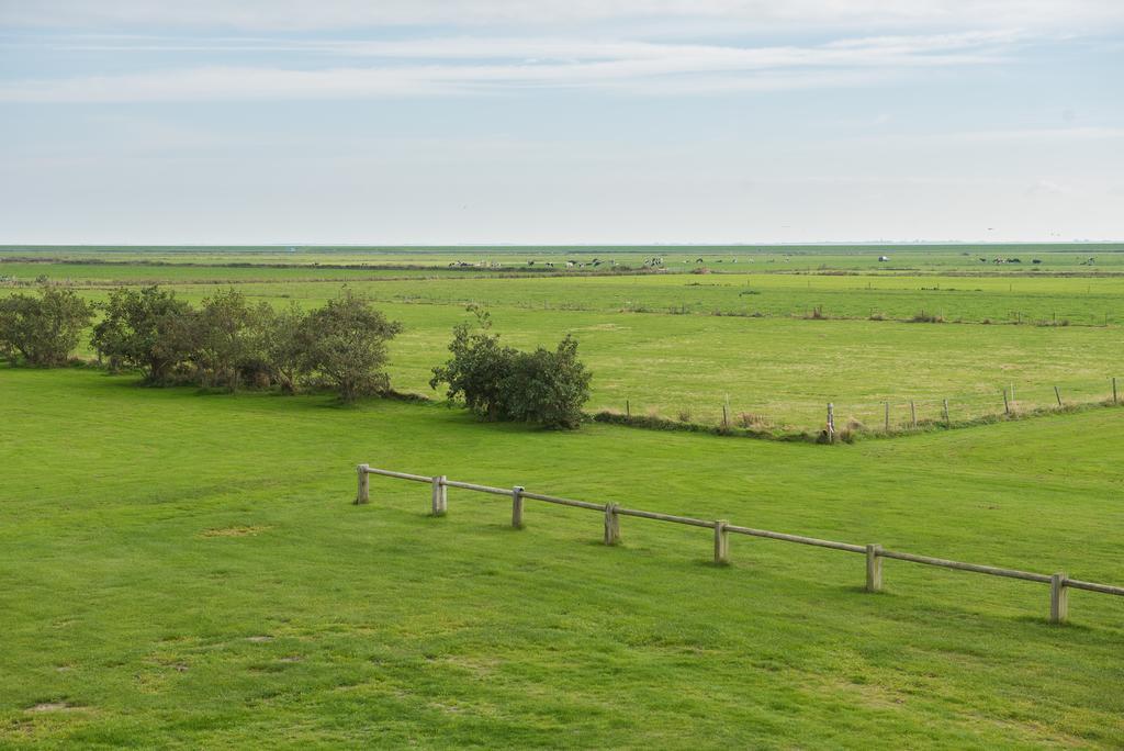 De Oranjerie * Buren (Friesland)
